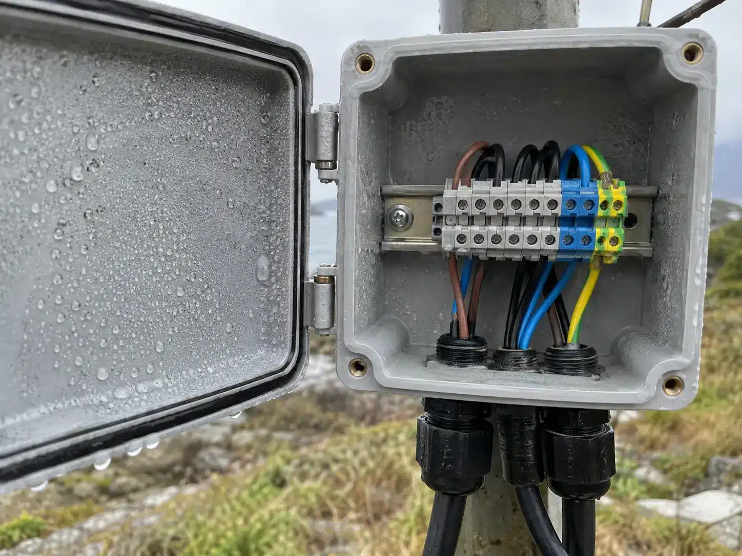 Condensation droplets on the inner wall and lid of an outdoor junction box, the classic junction box condensation pattern